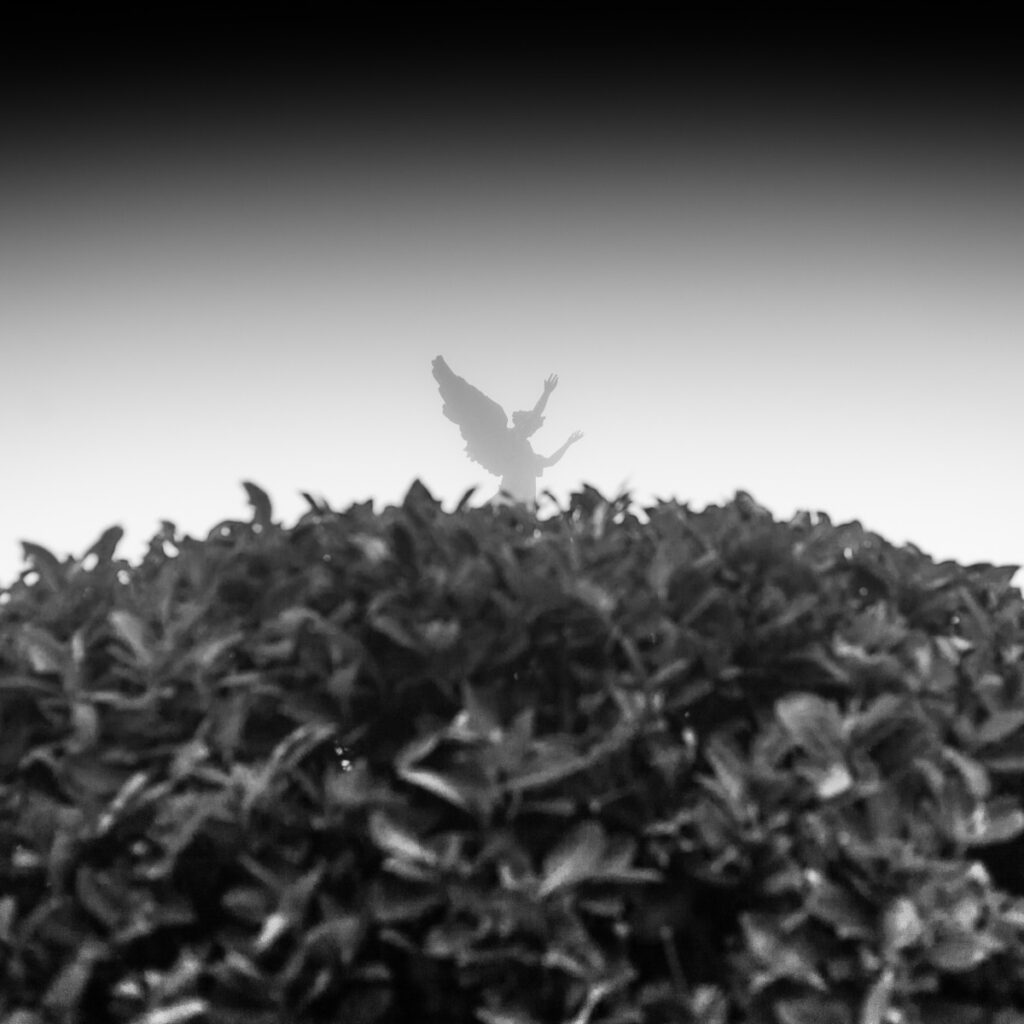 Ultimo die de terra — fotogramma 7
